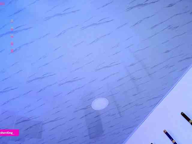 Nicorobin webcam