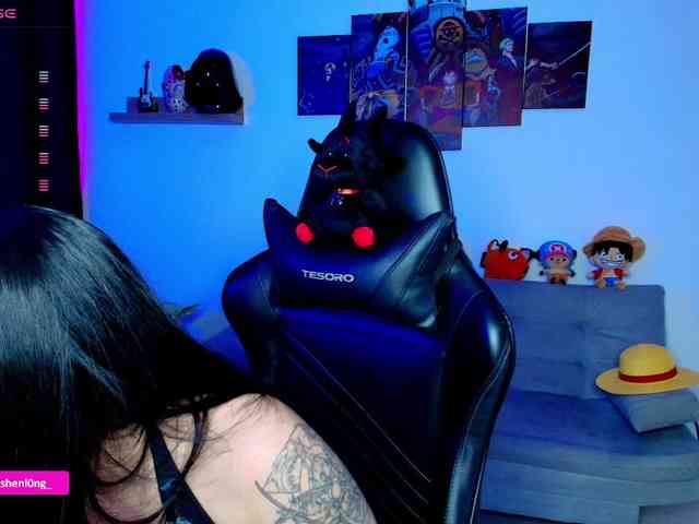 Nicorobin webcam