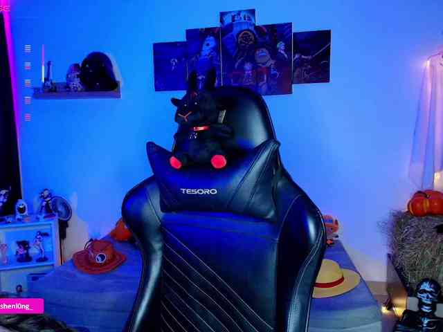 Nicorobin webcam