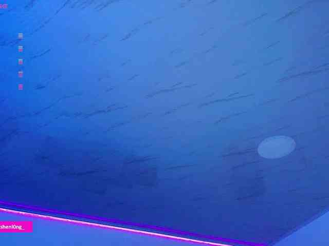 Nicorobin webcam
