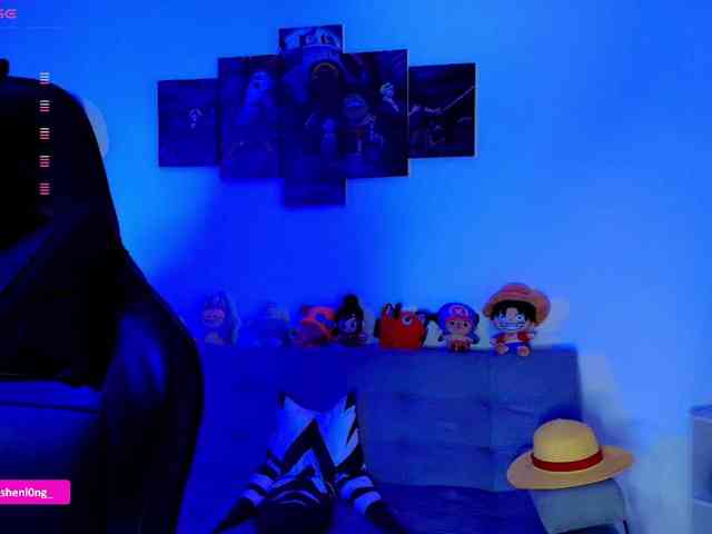 Nicorobin webcam