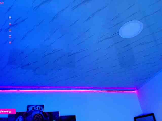 Nicorobin webcam