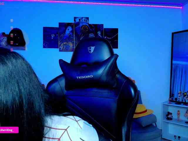 Nicorobin webcam