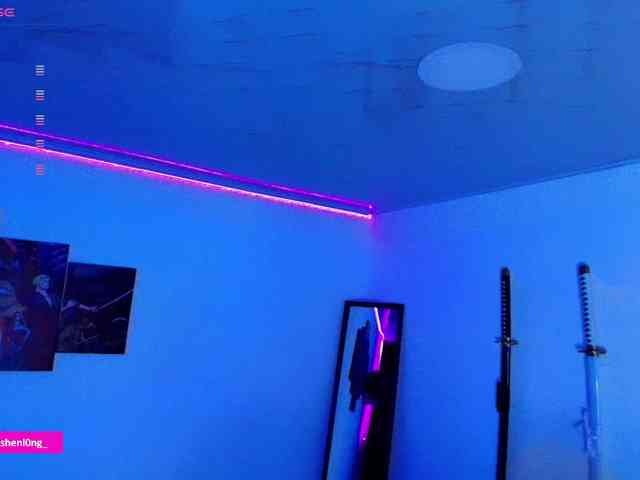 Nicorobin webcam