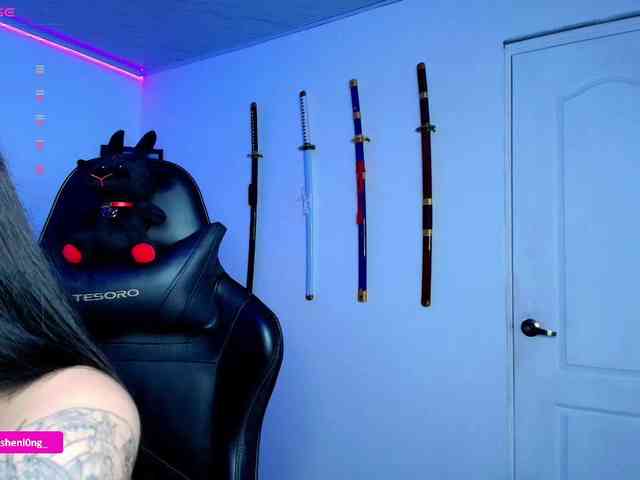 Nicorobin webcam