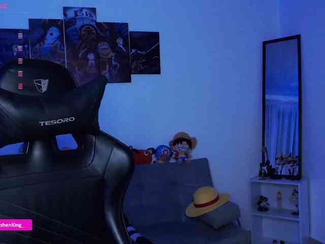 Nicorobin webcam
