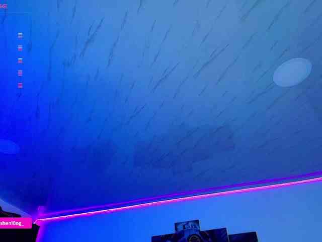 Nicorobin webcam