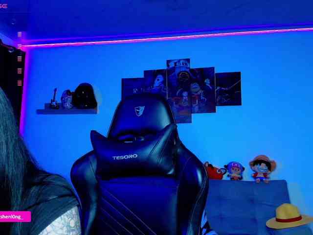 Nicorobin webcam