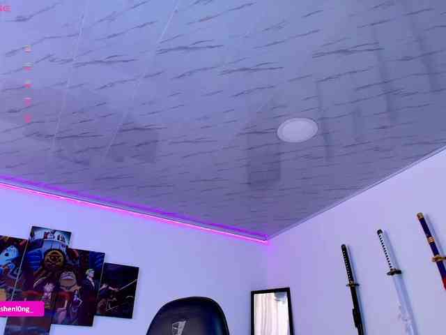 Nicorobin webcam
