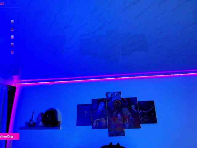 Nicorobin webcam