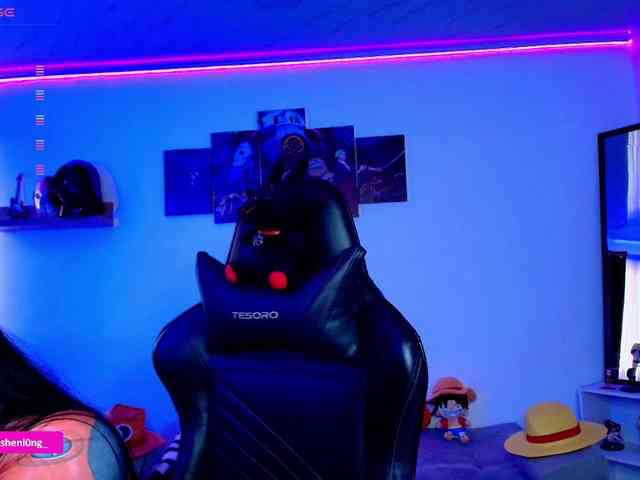 Nicorobin webcam
