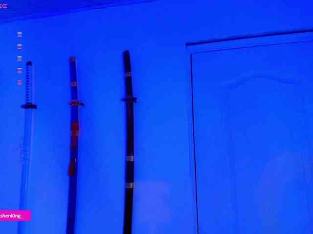 Nicorobin webcam