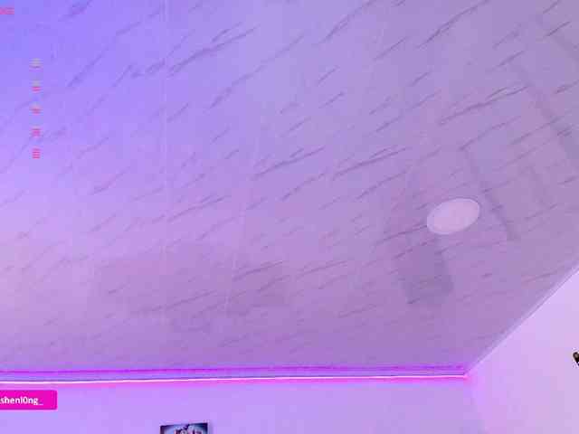 Nicorobin webcam