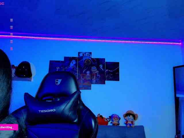Nicorobin webcam