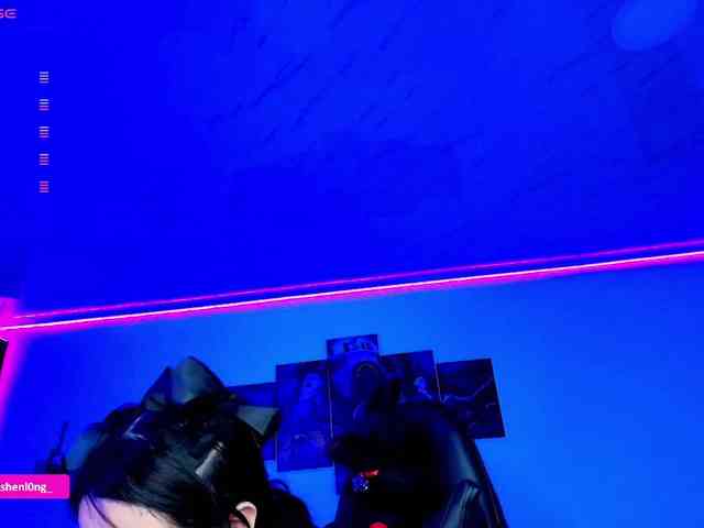 Nicorobin webcam