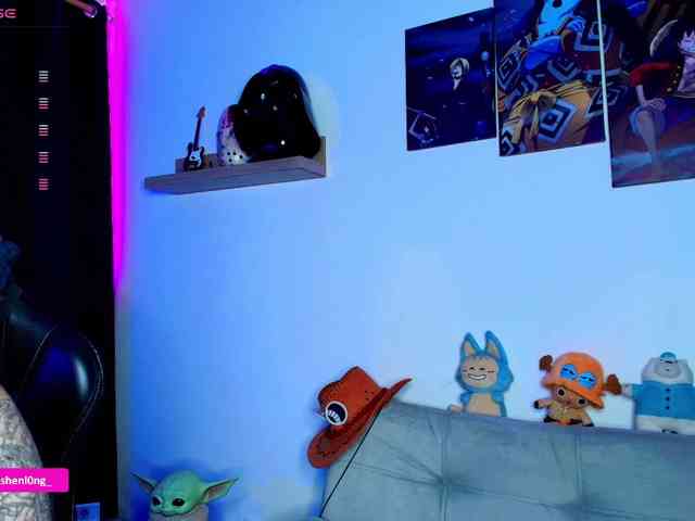 Nicorobin webcam