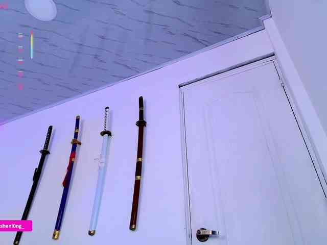 Nicorobin webcam