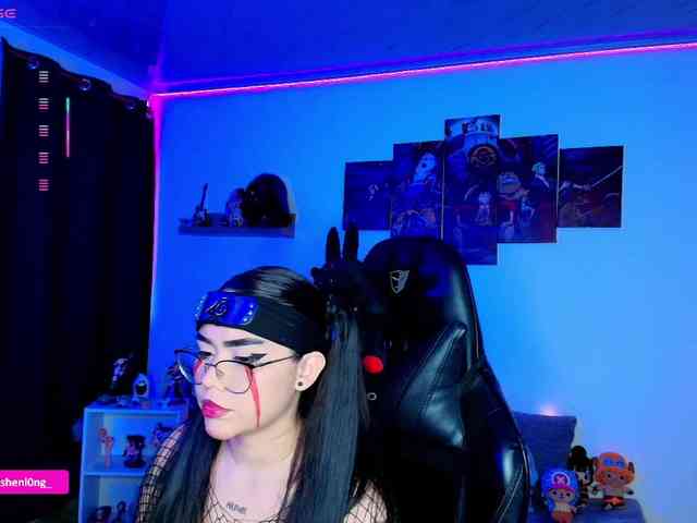 Nicorobin webcam