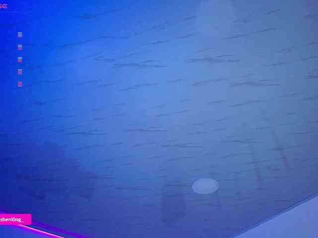 Nicorobin webcam