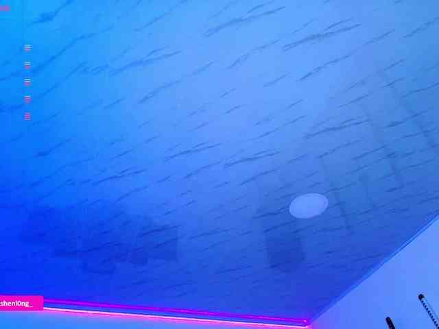 Nicorobin webcam