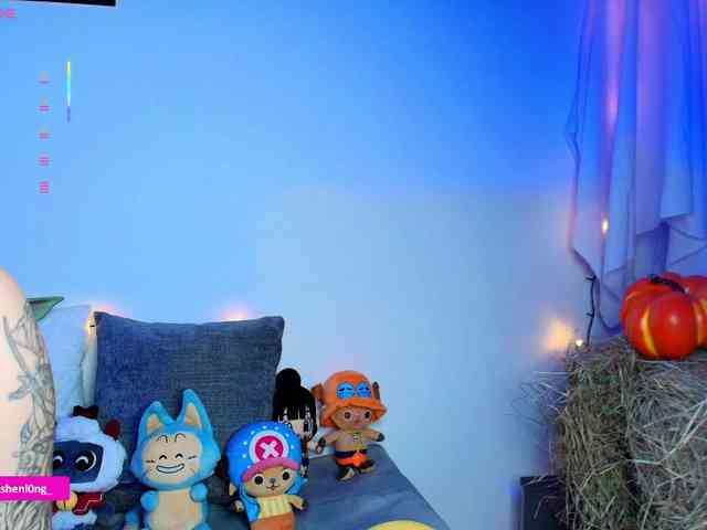 Nicorobin webcam