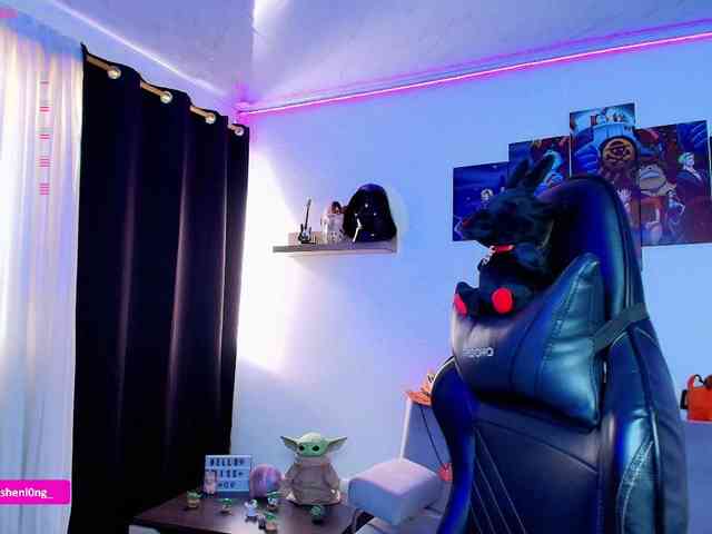Nicorobin webcam