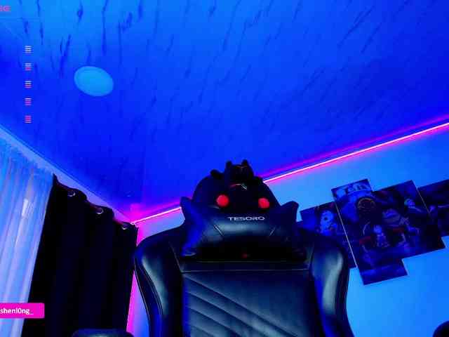 Nicorobin webcam