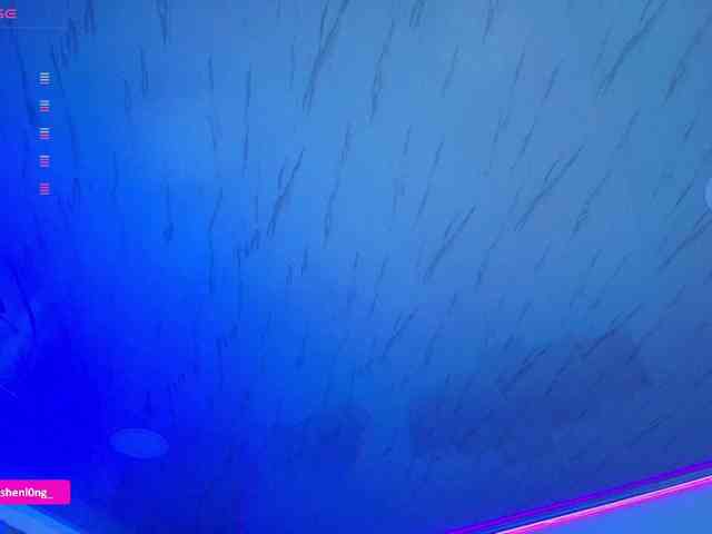 Nicorobin webcam