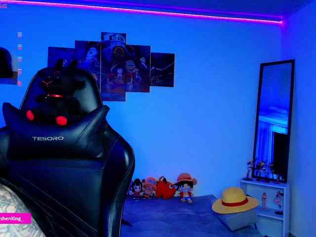 Nicorobin webcam