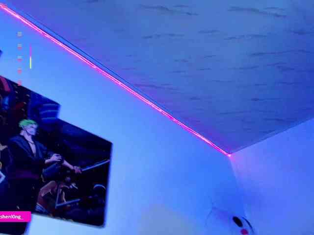 Nicorobin webcam