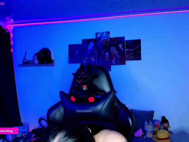 Nicorobin webcam