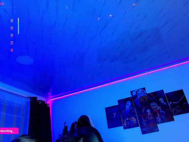 Nicorobin webcam