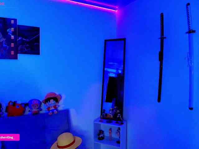 Nicorobin webcam