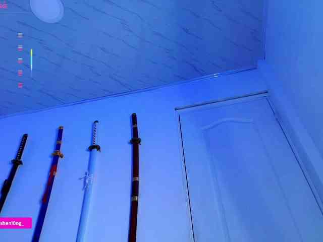 Nicorobin webcam