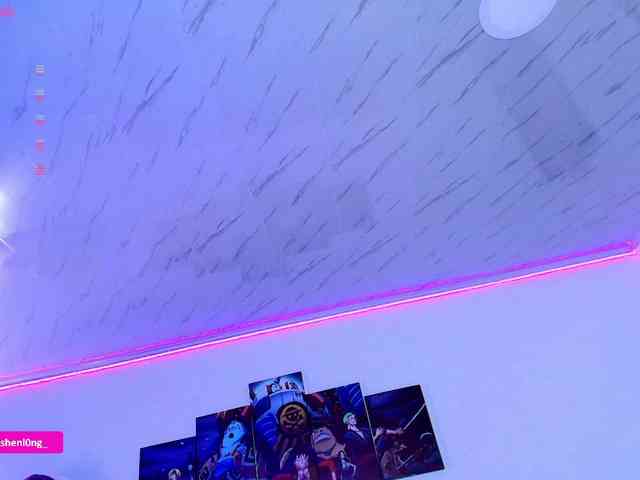 Nicorobin webcam
