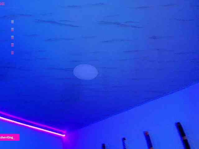 Nicorobin webcam
