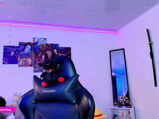 Nicorobin webcam