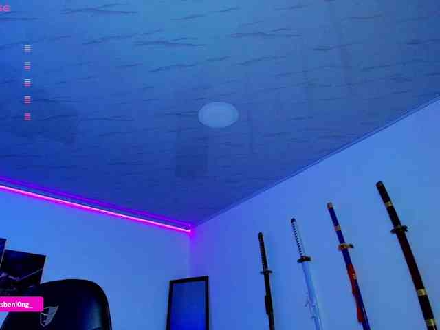 Nicorobin webcam