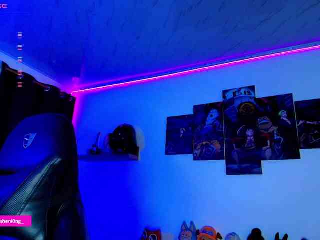 Nicorobin webcam