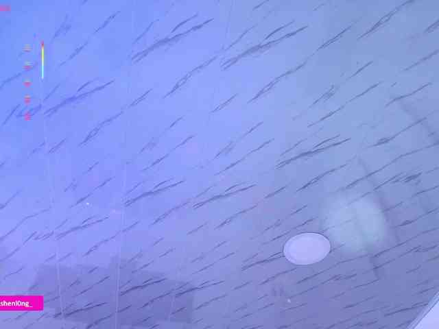 Nicorobin webcam