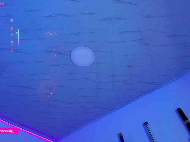 Nicorobin webcam