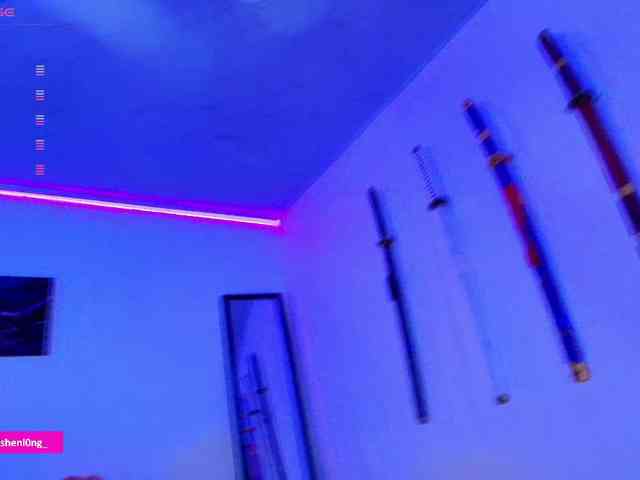 Nicorobin webcam