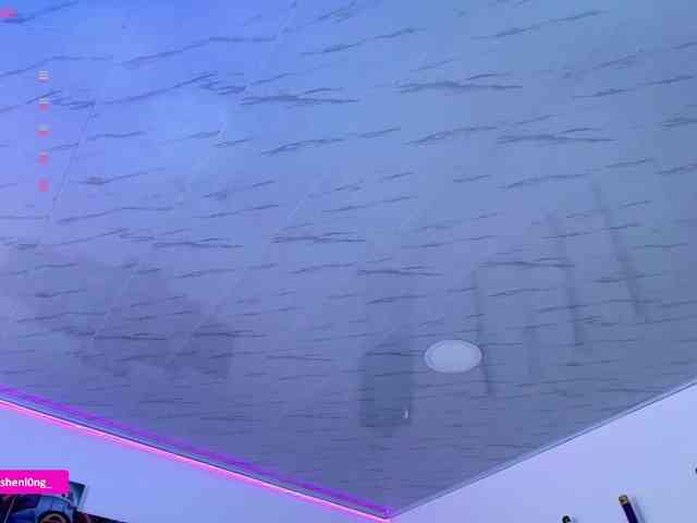 Nicorobin webcam