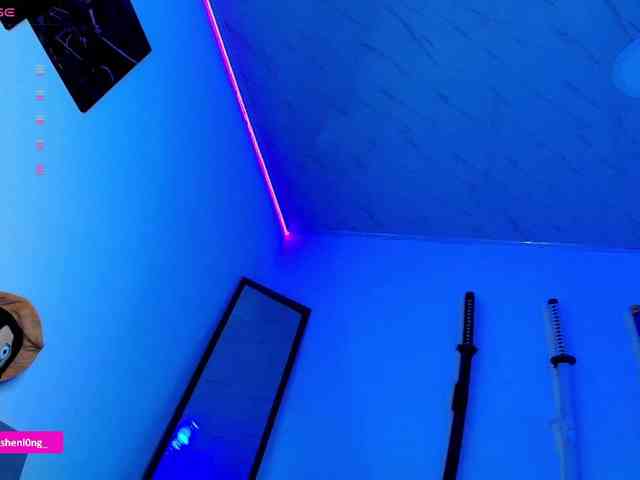 Nicorobin webcam