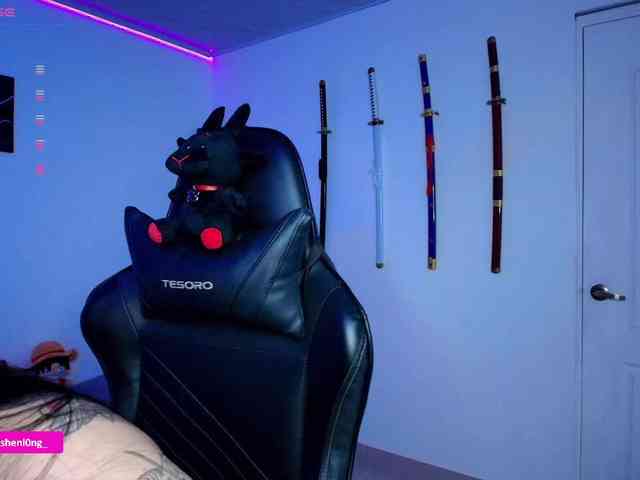 Nicorobin webcam