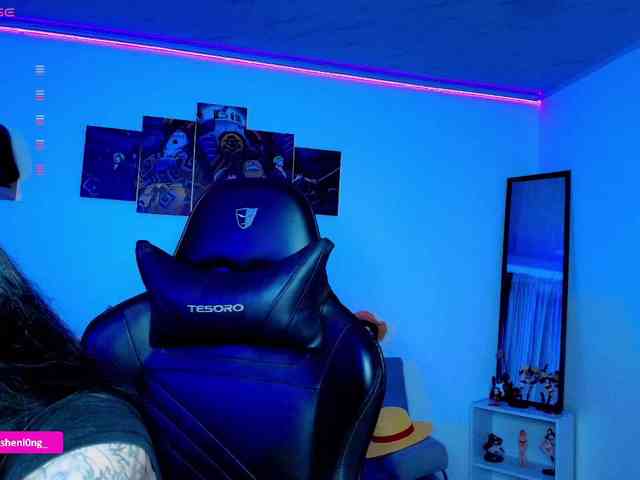 Nicorobin webcam