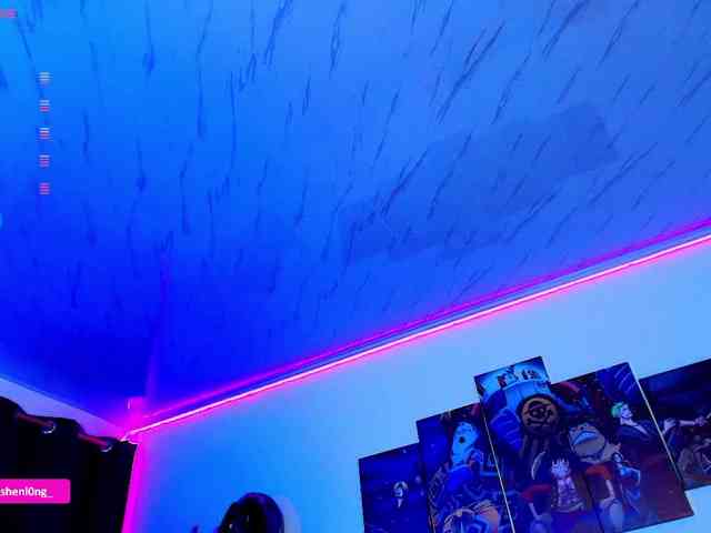 Nicorobin webcam