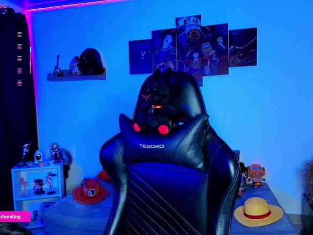Nicorobin webcam