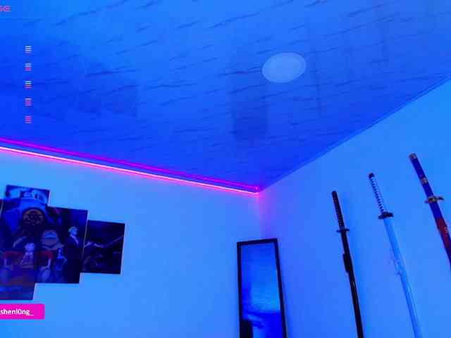 Nicorobin webcam