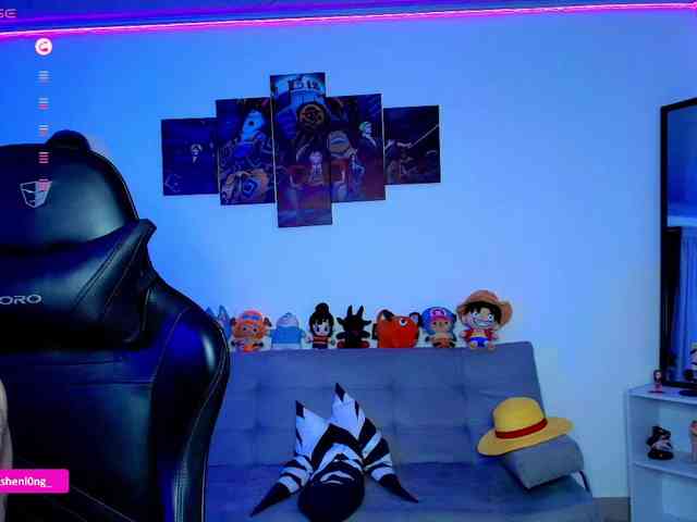 Nicorobin webcam
